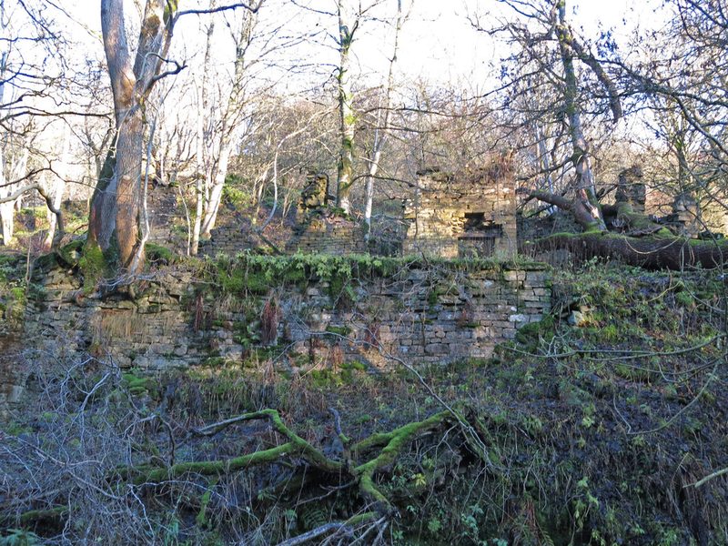 The grassed-over site of the Brandon Walls lead mine and ore works in the Rookhope valley.