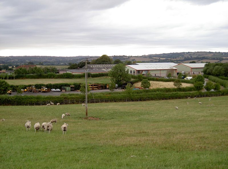 Young woodland on the partly levelled spoil heap of Bromley Colliery, beside a field.
