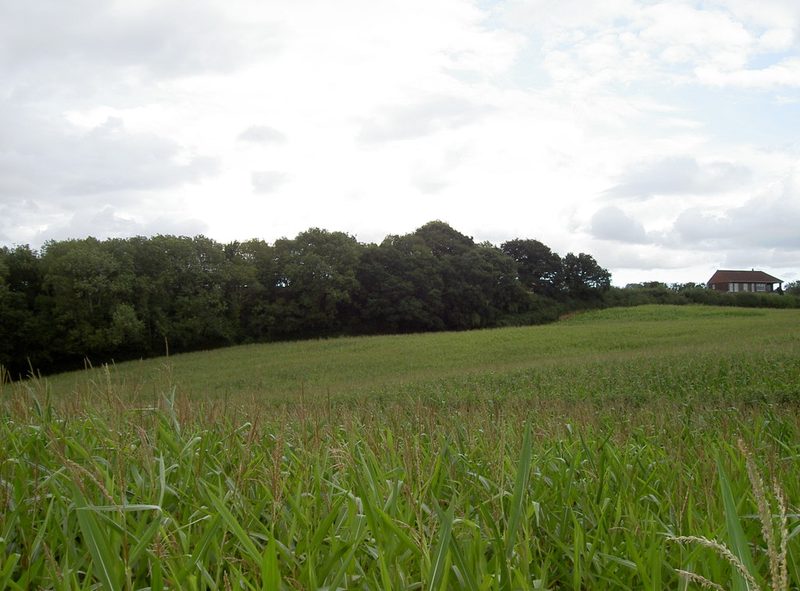 The tree-covered spoil heap of the old Bromley Colliery rising behind farmland near Stanton Wick.