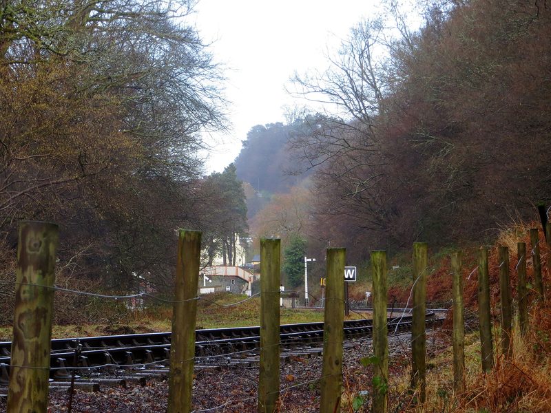 A large wooded colliery spoil heap rising steeply behind the houses of Parkend in the Forest of Dean.