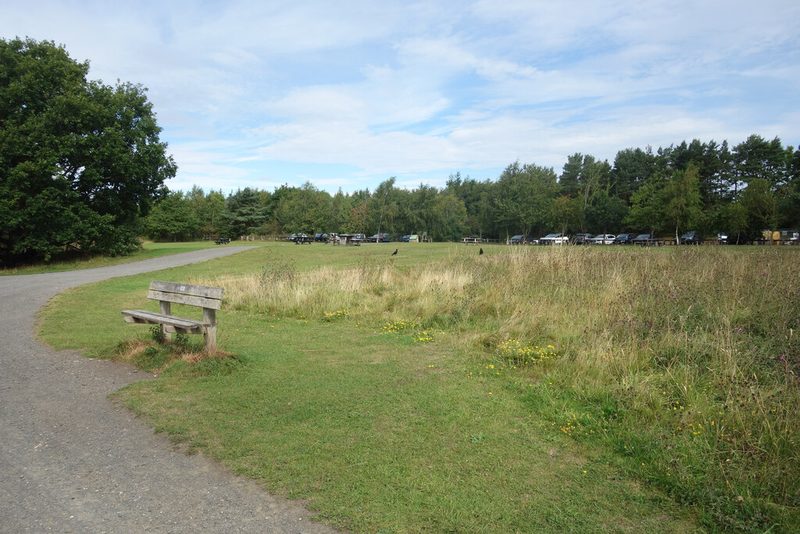 A grassy clearing among trees at Broompark Picnic Site near Durham.