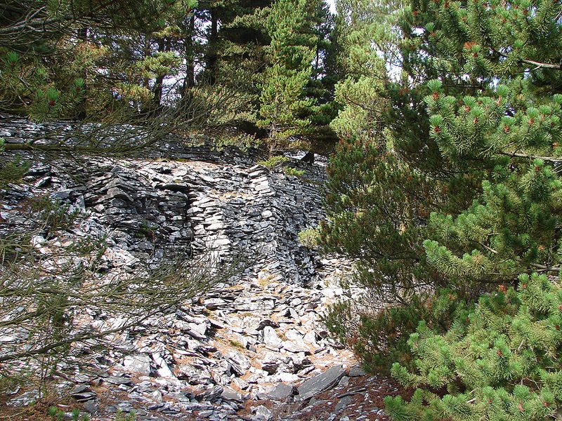 Ruined quarry buildings and worked rock faces surviving among forestry plantation at the former Bryn Eglwys slate quarry.
