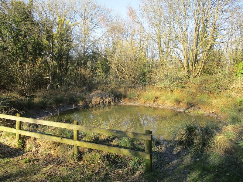 A shallow pond behind a post-and-rail fence in the floor of a disused chalk quarry, ringed by rough grass and bare winter trees.