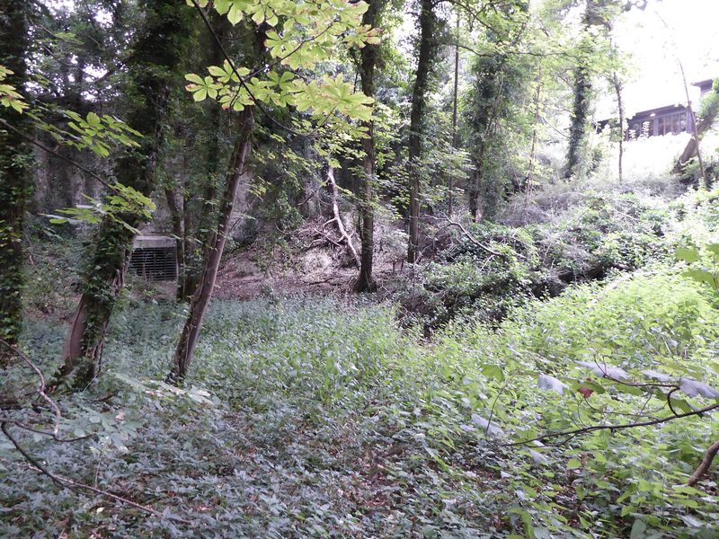 A low grilled entrance set into a chalk face at the foot of a wooded, ivy-covered slope on the edge of Bury St Edmunds.
