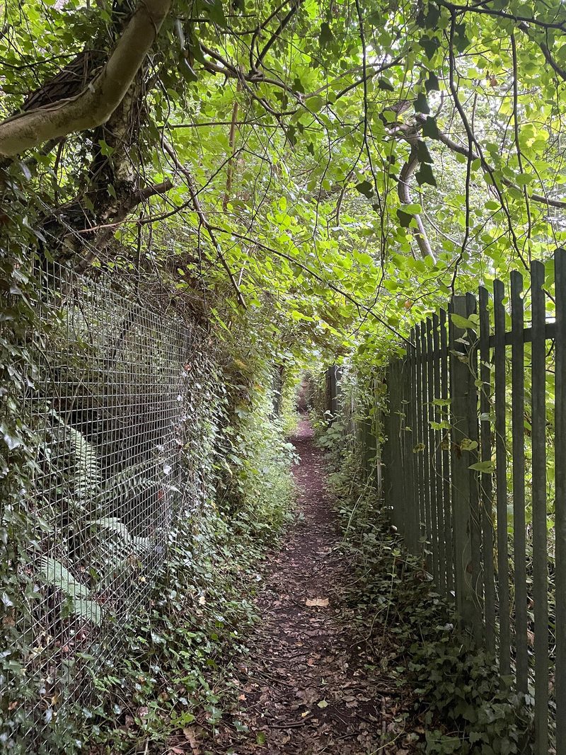 A narrow footpath running between trees and hedges on the wooded slope at the Calcutts, Jackfield, above the Severn.