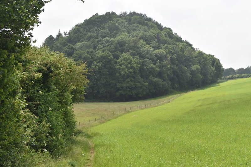 A steep grassed and partly wooded colliery spoil tip rising above fields at Camerton, seen from the lane below.