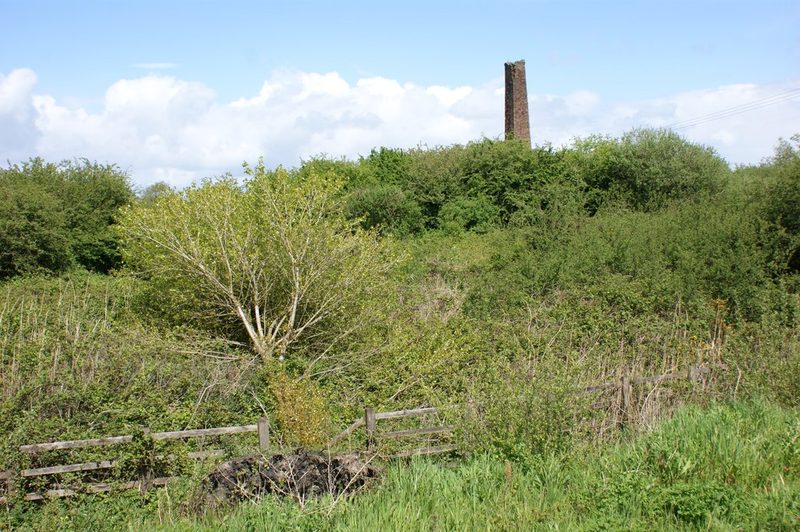 A tall square brick chimney rising above a dense thicket of trees and scrub behind a wooden fence.