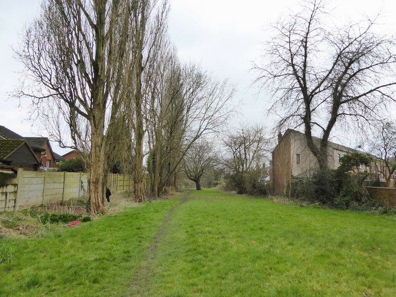A grassy path lined with tall bare poplars and a fence, running between houses along the course of a former colliery railway, 2024