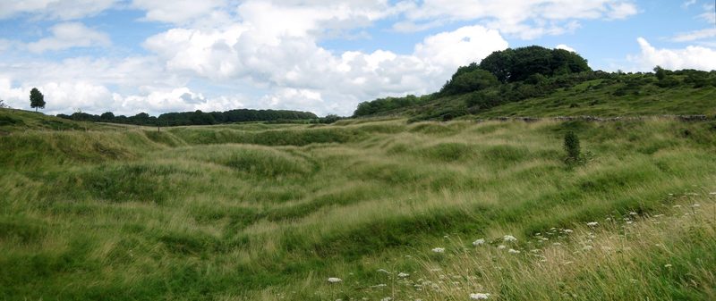 The disturbed 'gruffy ground' landscape left by centuries of shallow lead working at Charterhouse.