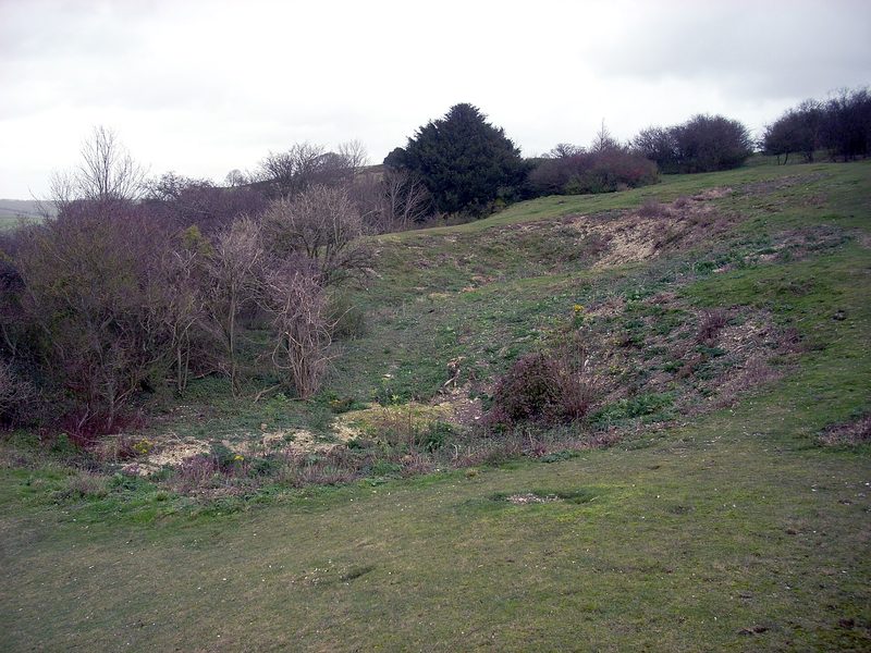 A grassy hollow with exposed chalk on its slopes, the infilled top of a flint mine shaft, with scrub and a yew behind.