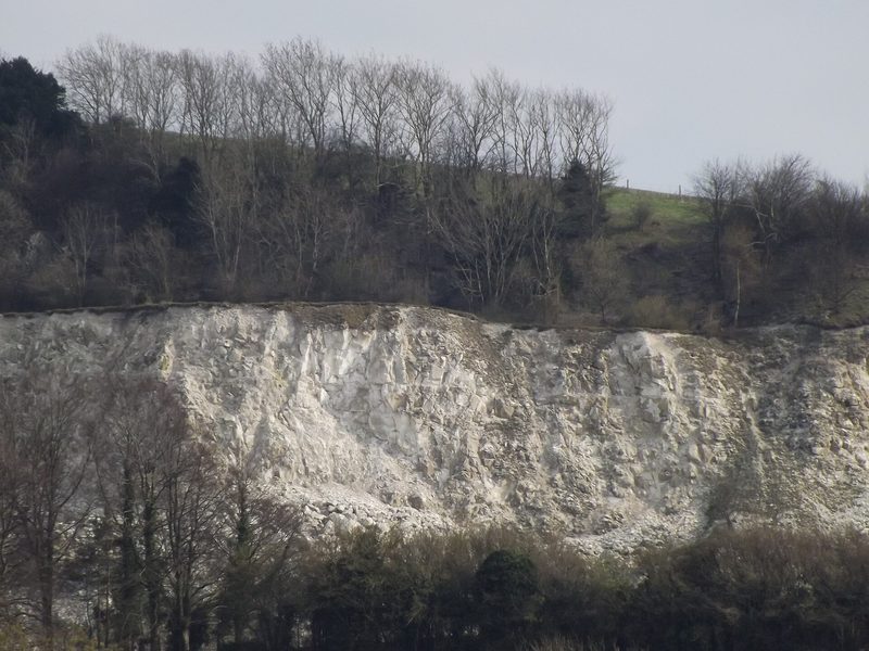 The abandoned chalk quarry face at Cocking on the South Downs.