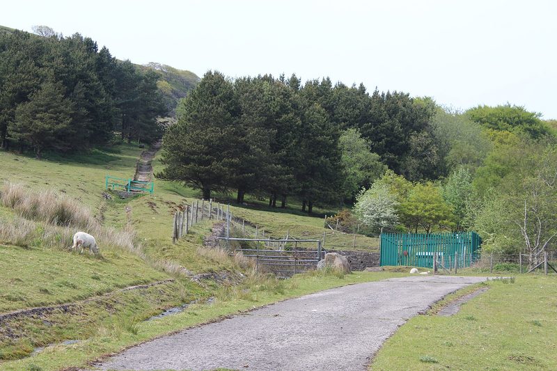 The reclaimed Cwmtillery colliery site: open grassland and young trees on the valley floor with hillsides rising behind.