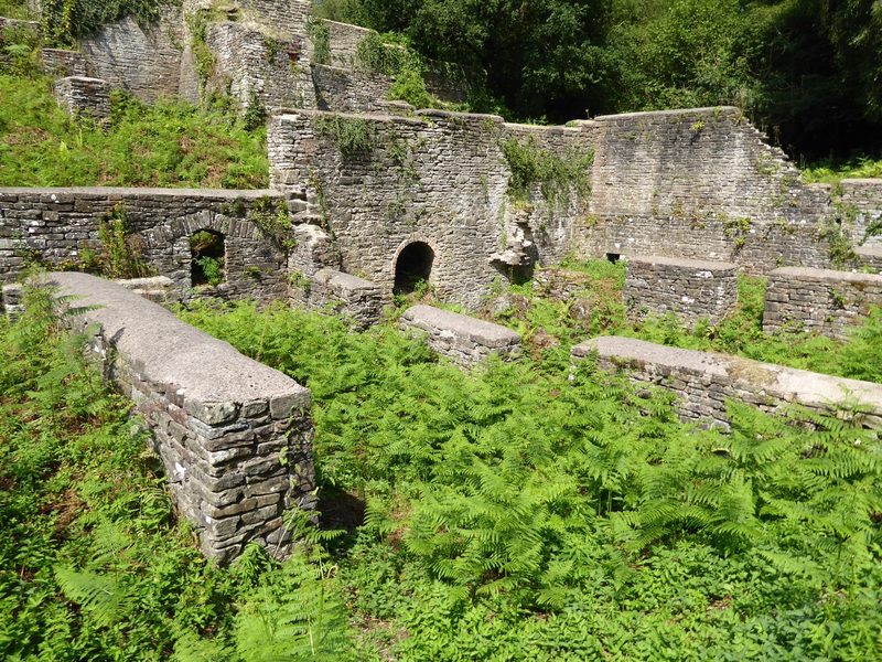 Stone walls and the base of a blast furnace among trees at the Darkhill Ironworks site in the Forest of Dean, with interpretation railings alongside.