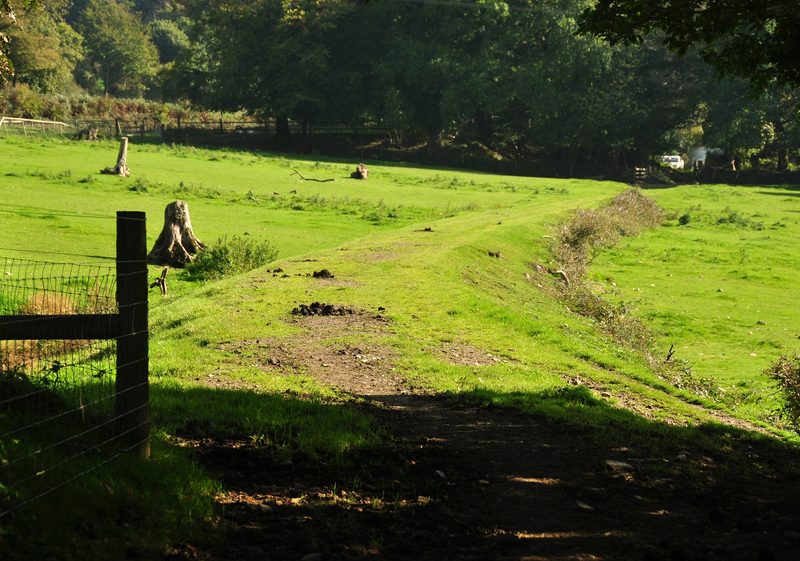 The trackbed of the mine's own five-mile mineral railway, which carried ore and arsenic down to Morwellham Quay.