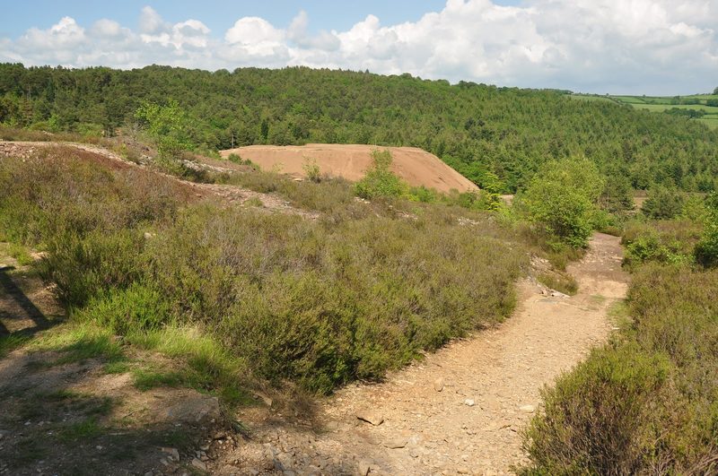 One of the bare, sparsely vegetated spoil heaps at Devon Great Consols, where arsenic levels still exceed screening thresholds.