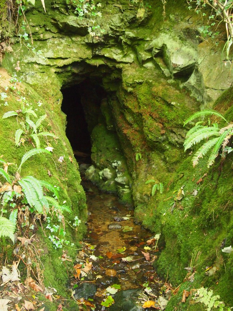 A low stone-arched adit mouth set into the bank among trees and undergrowth on the Tavy