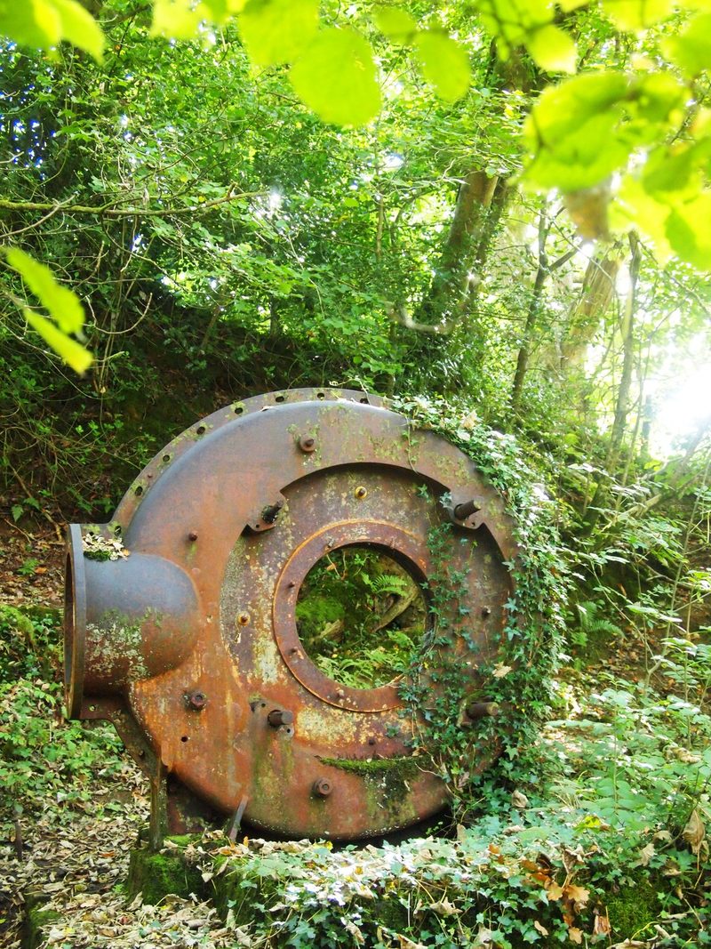 Rusted iron remains of a water turbine lying in the undergrowth at the mine site