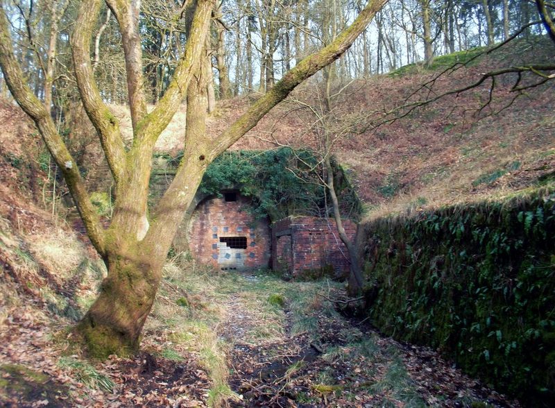 The stone portal of the Severn and Wye Railway’s Moseley Green tunnel in the Forest of Dean, its cutting overgrown with trees.