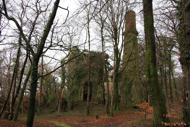A ruined ivy-clad engine house with an arched doorway and a tall brick-topped chimney among bare trees.