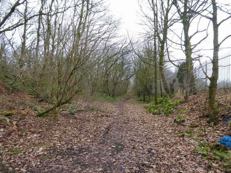 A tree-lined private track leading away from Wigan Lane towards the former colliery sites.