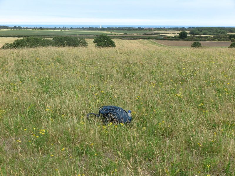 Rough grassland on top of the reclaimed East Holywell spoil heap with fields and the North Sea beyond and a rucksack in the foreground.