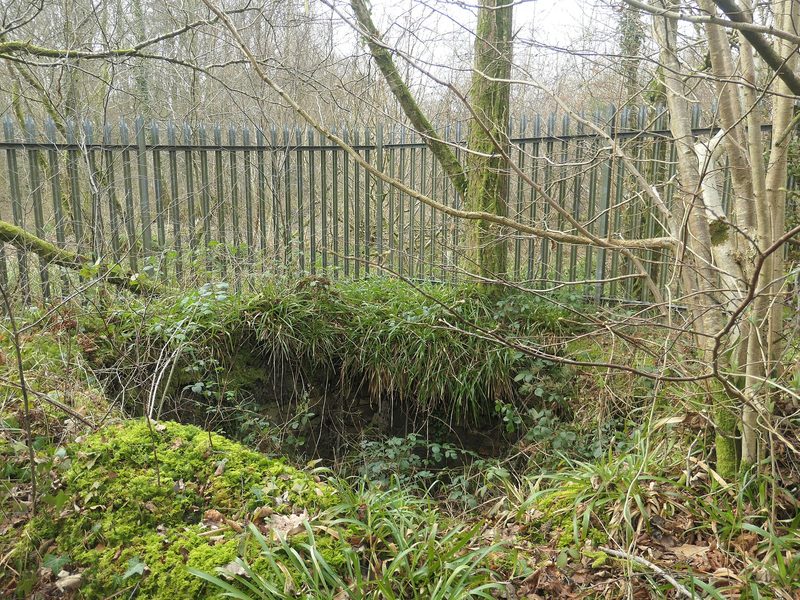 Overgrown masonry of a mine shaft in bare winter woodland, fenced off behind a tall steel palisade.
