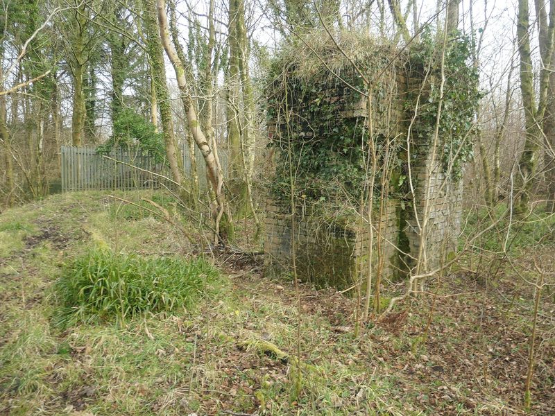 Ruined colliery masonry standing among trees at the Robin Hood Pit site, Flimby.