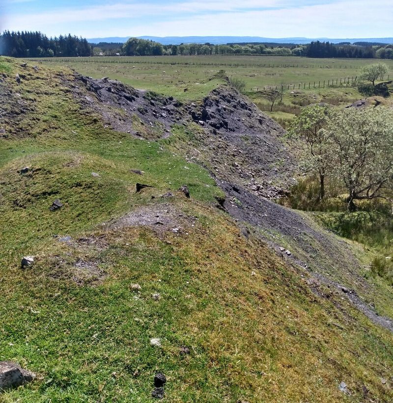 Grassy ridges of old spoil with dark shale showing through, looking out over flat sheep pasture and forestry.