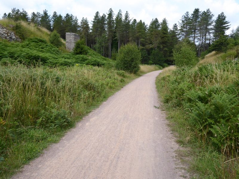 A clearing among conifers on the levelled site of the colliery, with rough grass and scattered concrete where the surface buildings stood.