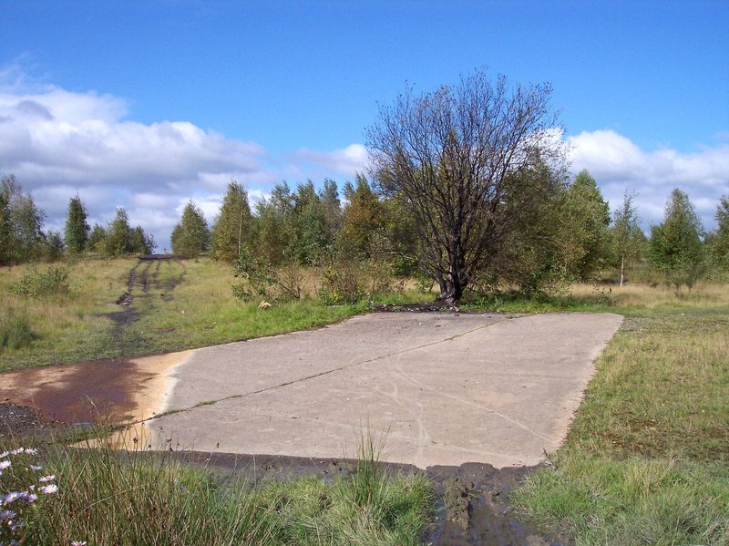 A cracked concrete slab in rough grass, with birch scrub and a bare tree behind, on the landscaped colliery site.