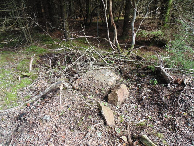 Overgrown brick debris and foundations of the Gilmilnscroft No. 3 colliery buildings among conifer trees.
