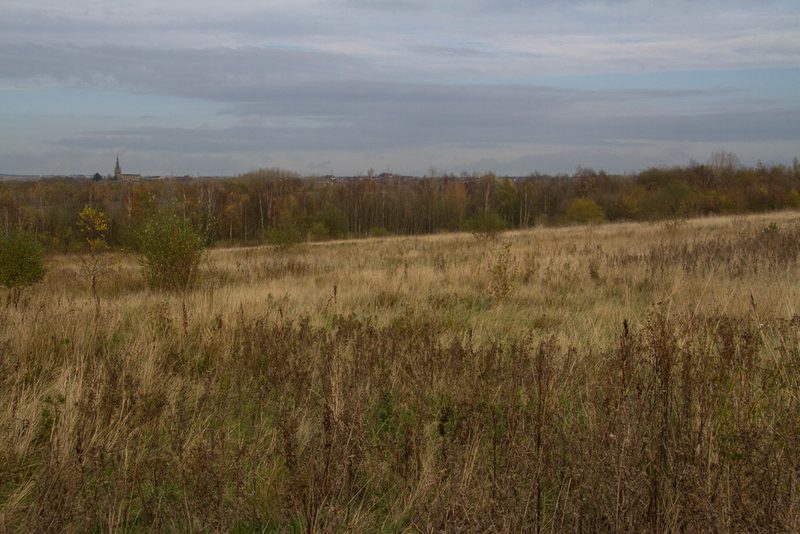 Rough grassland and scrub on reclaimed spoil heaps, with a church spire on the horizon