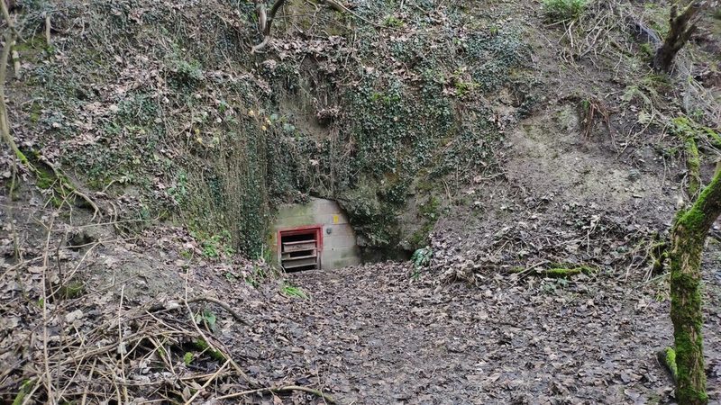 A blocked-up stone quarry entrance in a wooded bank on the slope of Godstone Hill.