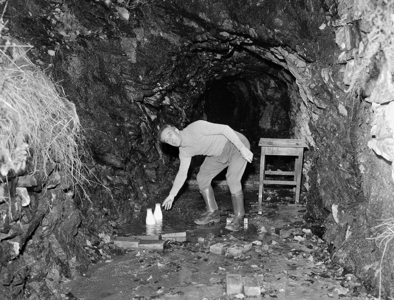 The mine buildings and wooded valley side at Gwynfynydd near Y Ganllwyd, photographed in October 1956.