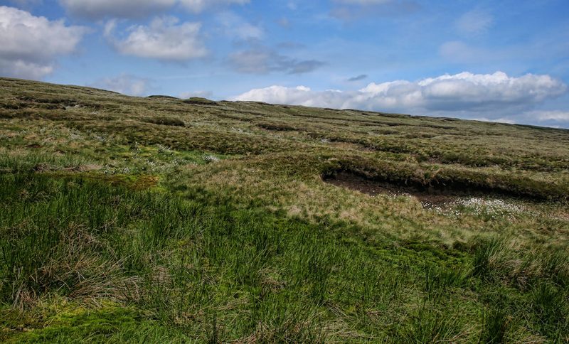 Open moorland of the Moor House nature reserve stretching across Milburn Forest on the North Pennine fells above the Westmorland escarpment