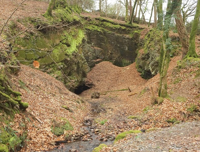 A mossy rock cutting in beech woodland with a dark opening at its base and a stream in the foreground.