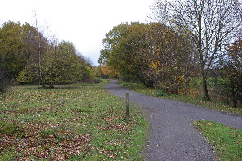 A surfaced path curving through rough grass and autumn scrub woodland on the Havannah and Three Hills Nature Reserve, the reclaimed ground of Hazlerigg Colliery.