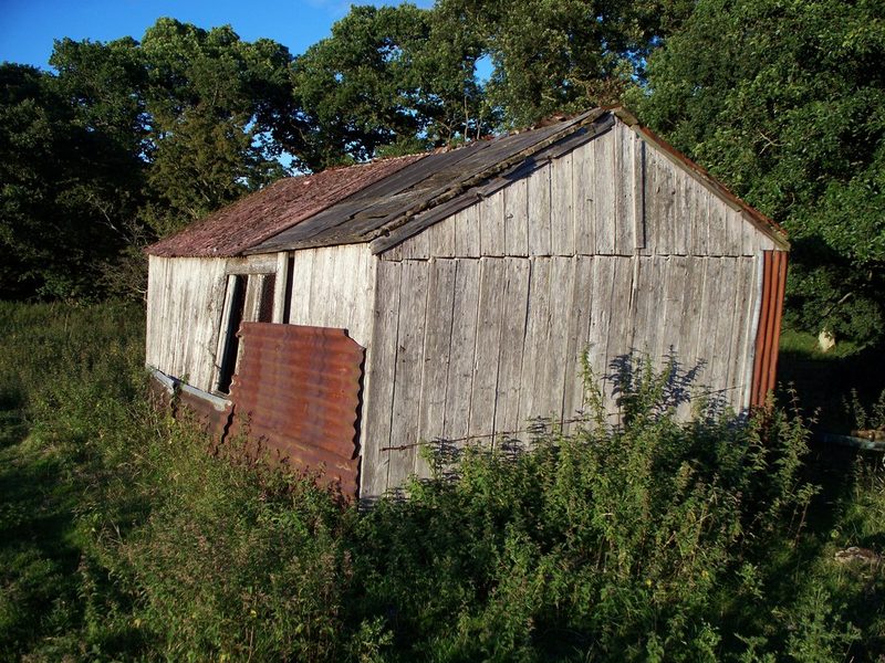 A weathered timber shed with a rusty corrugated roof among nettles and long grass beside trees.