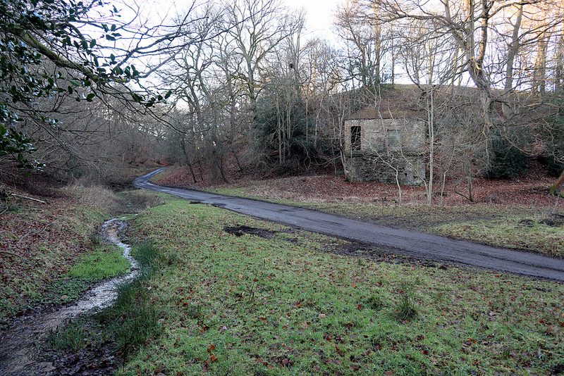 The stone shell of a former mine engine house standing in rough pasture at Dene Howl, its openings empty and its walls weathered