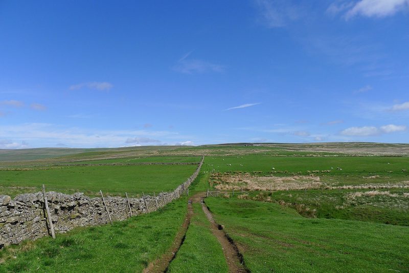 The Weardale Way crossing the open fell of Westgate Heights Pastures above Weardale, the ground of the Heights mine workings.