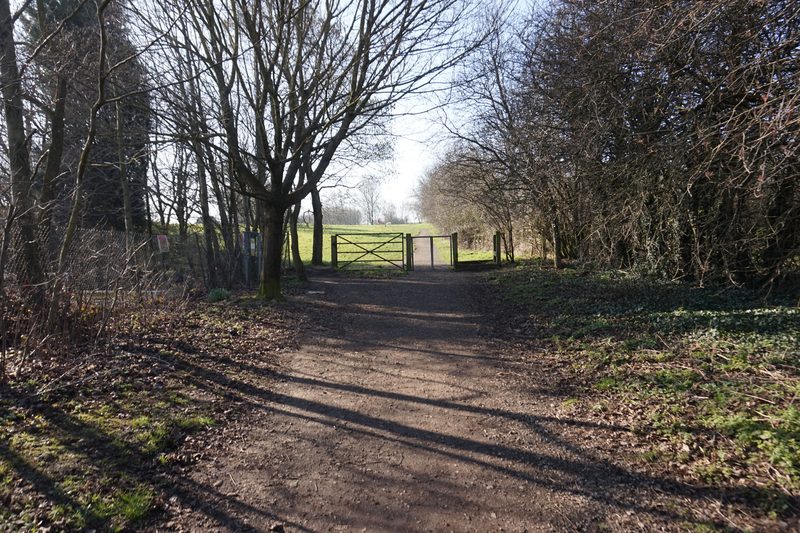 A straight grassy trackbed running between hedgerows and bare winter trees, the route of the mineral railway that once served the colliery.
