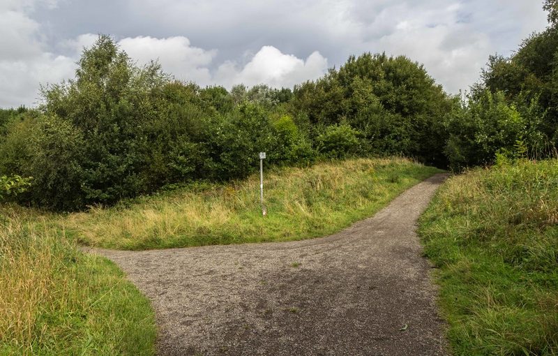 A gravel path fork among grass and bushes on reclaimed land at Amberswood Common.