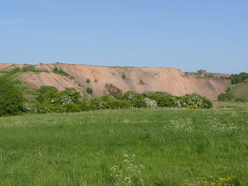 A long pink-red shale bing rises beyond a hedge of hawthorn in flower and a grass field.