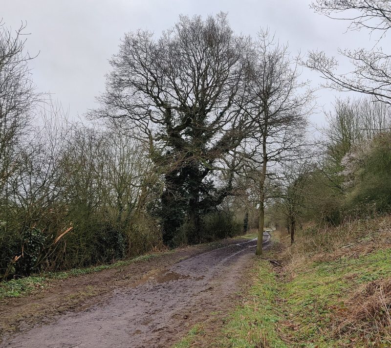 A track running along the rim of Huncote Quarry, Leicestershire, with the worked granite faces beyond.