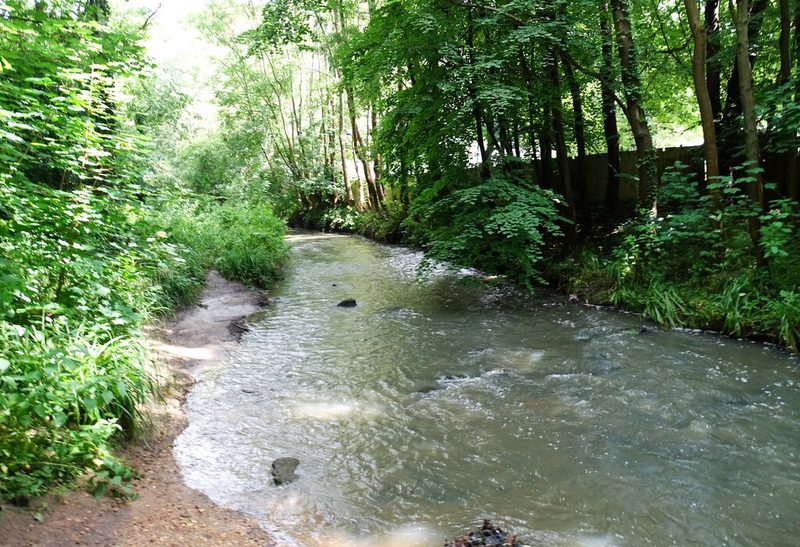 A shallow stream runs over stones between thickly wooded banks, with a timber fence among the trees on the right.