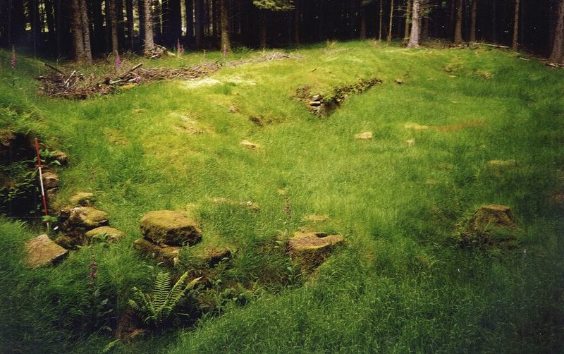 A grassy platform in conifer woodland with moss-covered stone walling and a ranging rod in a pit at left.