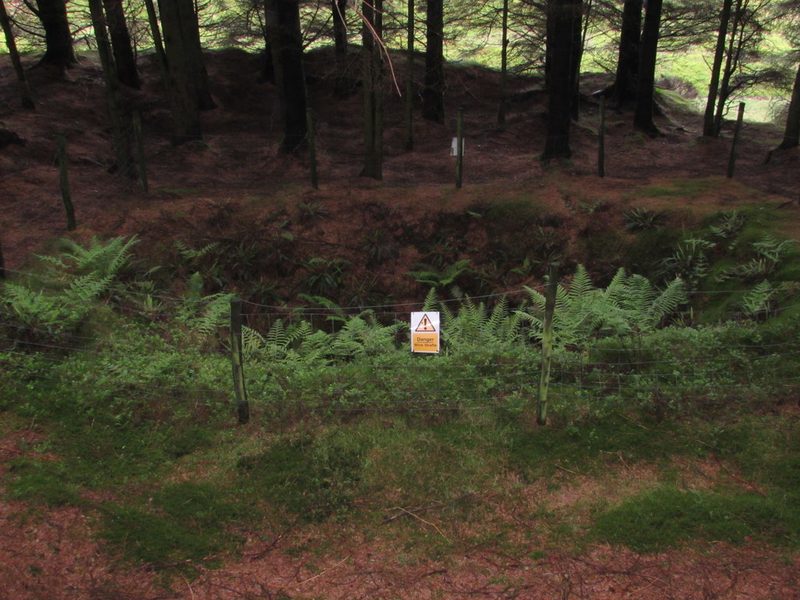 A fenced hollow with ferns and a warning sign among conifer trees on a hillside.