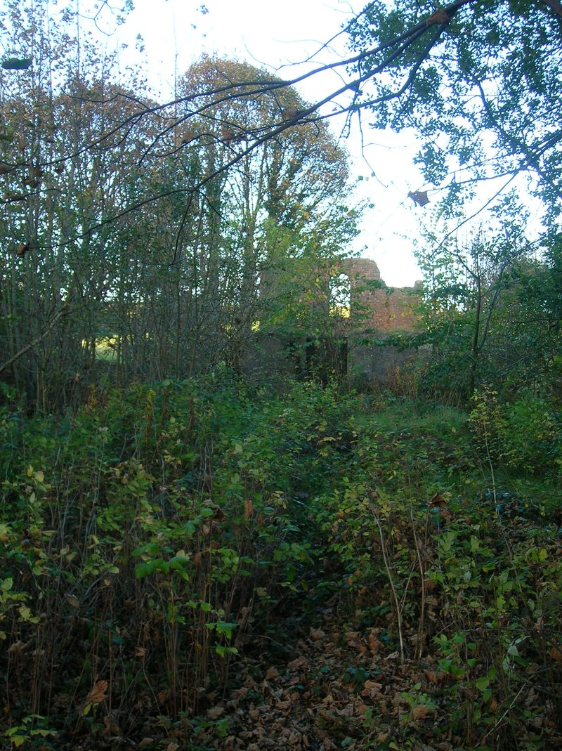 A roofless brick building with an arched window opening, half hidden by trees and undergrowth.