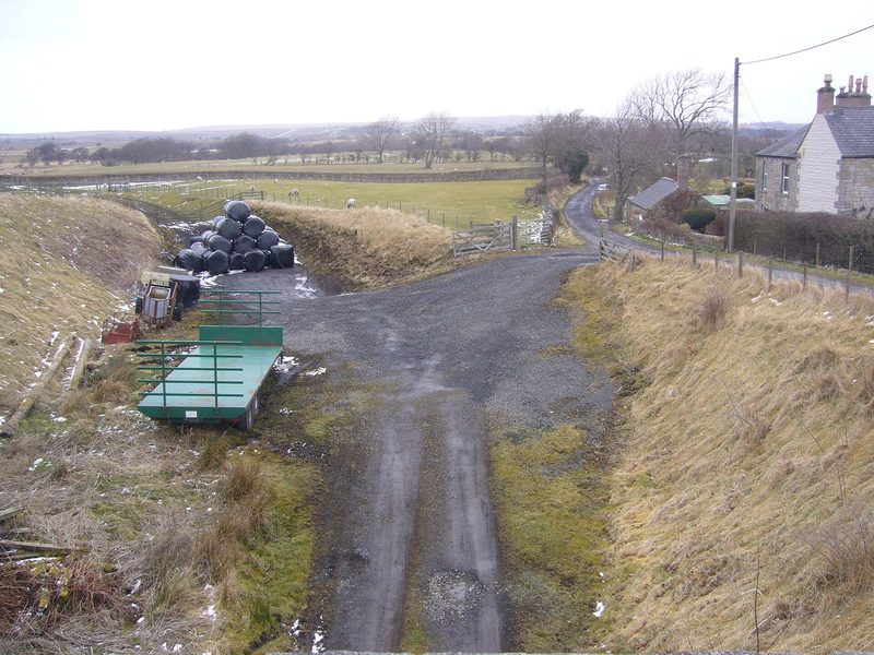 A gravel farm track running down a grassy cutting from a bridge, with fields, sheep and a stone house beyond.