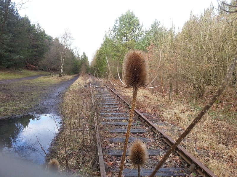 Rails and sleepers of a disused single-track railway running away through winter grass.